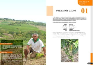 ORIGEN DEL CACAO
01
La clasificación botánica más aceptada para el Cacao es como sigue:
Orden
Familia
Subfamilia
Género
Especie
Sub
Existen dos clases de cacao: el cacao básico y el cacao fino y de aroma. Más del 95% del cacao
producido cada año puede considerarse como cacao básico o a granel. El cacao básico procede en
su mayoría de África y Brasil, en especial de la variedad forastero. El cacao fino y de aroma tiene
características distintivas de aroma y sabor, buscadas por los fabricantes de chocolate. Representa
únicamente 5% de la producción mundial de cacao
Malvales
Sterculiaceae
Byttnerioideae
Theobroma
Cacao L.
Cacao y Sphaelocarpum
GUIA PRACTICA
PARA PRODUCTORES
DE CACAO
El cacao fue hallado en forma silvestre en las montañas ubicadas en las faldas de la cordillera de los
andes de la parte central y baja del rio marañon ( afluente del gran rio Amazonas). A la llegada de los
migrantes al valle central del rio marañon , principal zona productora de cacao en la regiónAmazonas
promovieronlasiembraysu procesamientoparafabricarelchocolate.
pág. 03
Los autores agradecemos al fondo Italo Peruano,
a la Fundación Avsi, la Cooperativa Ceproaa y a
los agricultores cacaoteros de la región
amazonas.
Con la presente guía para las familias
dedicadas a la producción de cacao en la
región amazonas, se pretende dar a conocer los
puntos críticos más importantes en la
instalación, manejo y producción de una parcela
de cacao.
Esperamos que sea de utilidad en todo momento
para tomar decisiones familiares en torno al
cultivo.
AGRADECIMIENTO
OBJETIVO
Los autores agradecemos al fondo Italo Peruano,
a la Fundación AVSI, a la Cooperativa Ceproaa y a
los agricultores cacaoteros de la región
amazonas.
Con la presente guía para las familias
dedicadas a la producción de cacao en la
región amazonas, se pretende dar a conocer los
puntos críticos más importantes en la
instalación, manejo y producción de una parcela
de cacao.
Esperamos que sea de utilidad en todo momento
para tomar decisiones familiares en torno al
cultivo.
 