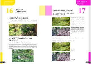 GUIA PRACTICA
PARA PRODUCTORES
DE CACAO
16 LABORES
CULTURALES
LIMPIEZA Y DESHIERBO
Es importante mantener el cultivo de cacao limpio y libre de malezas, porque
reduce la competencia por nutrientes, luz y agua, se realiza 03 deshierbos por
año
MANEJO Y CONSERVACIÓN
DE SUELOS
INSTALACIÓNYMANEJO DE COBERTURAS
Las coberturas ayudaran a mantener la humedad del suelo en épocas de secas, y
ayudaran a resistir la erosión de los suelos en épocas lluviosas, además en
ambas épocas mantiene el equilibrio biológico del suelo, entre las especies más
usadas en la zona se encuentra centrosoma, kudzu a razón de 1 kg de semilla
porhectárea
pág. 38
17
GUIA PRACTICA
PARA PRODUCTORES
DE CACAO
ABONOS ORGÁNICOS
TIPOS DE COBERTURA VEGETAL QUE
SE PUEDEN UTILIZAR
Existen dos tipos
Cobertura viva: Es aquella especie
leguminosa, cuya función es cubrir y
proteger al suelo de la erosión,
adicionalmente aporta nutrientes al
suelo. Se siembra conjuntamente con
el cacao y acompañara a este cultivo
los dos ó tres primeros años, pudiendo
ser el Kudzu, centrosema, mucuna,
canavalia,etc.(A).
La Cobertura muerta o mulching:
Son los restos vegetales o residuos de
cosechas que se utilizan para cubrir el
suelo, estos pueden ser: Hojas de
cacao y de guaba, paja de maíz, de
frijol, rastrojos de los deshierbos, etc.
(B).
Objetivo de la instalación de coberturas
El objetivo es proteger al suelo de la erosión, adicionalmente debe aportar nutrientes al
suelo y no deja crecer malezas.
INSTALACIÓN Y MANEJO DE BARRERAS
Barreras
vivas
Barreras
muertas
pág. 39
 