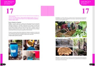 GUIA PRACTICA
PARA PRODUCTORES
DE CACAO
17Dentro de los abonos orgánicos existes varios tipos, dentro de los más recomendados por
su altocontenidode
Nutrientes están: bioles, purines, compost, humus de lombriz, bocashi. Además en el
mercado se pueden adquirir abonos orgánicos como: Guano de isla, roca fosfórica,
dolomitayalgunos sulfatos.
bonos Orgánicos Líquidos
El biol, es un abono foliar que se obtiene de la descomposición de los desechos
orgánicos. Siendo el Biol una fuente orgánica de elementos, capaz de promover
actividades fisiológicas y estimular el desarrollo de las plantas, sirviendo para
actividades agronómicas como: el enraizamiento (aumenta y fortalece las raíces),
acción sobre el follaje (tendremos hojas de buen color y tamaño), mejora la
floración, cuajado de frutos y activa el vigor y poder germinativo de las semillas,
traduciéndosetodoestoenaumentosignificativodelacosechas.
El purín es un abono foliar de fácil elaboración, bastante económico, lo cual se usa
como suplemento nutricional a las plantaciones de cacao, el tiempo de preparación
es cortoy se hatenidobuenos resultadosenaplicacionesradiculares.
Compost,bioles,purines ybocashi.
pág. 40
17
GUIA PRACTICA
PARA PRODUCTORES
DE CACAO
El compost, es un abono sólido que se prepara en base a la descomposición alternada de
diversos materiales vegetales disponibles en las chacras, siendo una fuente orgánica de
nutrientes, que se aplican al suelo.
El bocashi, es un abono sólido que se prepara con material denominados Microorganismos
de Montaña, carbón activado, melaza, cascarilla de arroz, producto del cual se obtendrá un
abonoorgánicoenmenortiempo.
pág. 41
 