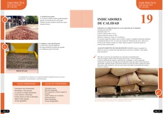 GUIA PRACTICA
PARA PRODUCTORES
DE CACAO
Indicadores de calidad del grano de cacao requeridos por la industria:
Fermentación más 80%
Humedad menos 7%
Granos violetas menor al 20 %
Granos pizarrosos menor al 10%
Defectos e impurezas menor al 3.0%Mínimo
No acusará ningún olor atípico como a mohos o humo La calidad se determina mediante
la llamada prueba de corte. Se toma una muestra de 100 granos de cacao, cada una se
divide en dos mitades cortadas a lo largo, luego las pepas se clasifican según los
criterios antes mencionados.
ALMACENAMIENTO DE LOS GRANOS DE CACAO Consiste en guardar los
granos de cacao en condiciones adecuadas para conservar su calidad y evitar perder
todo el producto.
Para ello es necesario que atendamos las siguientes recomendaciones:
Antes de empacar, dejar enfriar los granos por un día; y evitar sudoración.
Construir parihuelas de madera a una altura de 5 pulgadas y evitar la humedad.
Almacenar los granos en un lugar bien cerrado para evitar que entren olores fuertes de
insecticidas, gasolina, humo o querosene, porque al cacao seco fácil se pegan los olores.
Revisemos cada semana los sacos de cacao para evitar daños ocasionados por ratones,
insectos y hongos.
GUIA PRACTICA
PARA PRODUCTORES
DE CACAO
pág. 45
Los sacos a usar deben estar nuevos o limpios cuando son usados (evitar los sacos
de los fertilizantes y pesticidas). Se recomienda sacos de yute
4
5. Limpieza y selección del grano:
La selección es una actividad que
sirve para clasificar los granos de acuerdo
a la calidad que pide el mercado.
4. Secado de los granos:
Es el proceso donde el grano pierde humedad,
gracias a la acción del sol y del viento.
También existen secadores artificiales a gas y
energía eléctrica
A continuación se muestra en el siguiente gráfico la diferencia entre el cacao
fermentado y no fermentado o mal fermentado.
CACAO FERMENTADO CACAO NO FERMENTADO
Almendras bien fermentadas.
Hinchadas o más gruesas.
La cáscara se separa fácilmente.
Color marrón o chocolate.
Forma estrías en todo la almendra.
Sabor medio amargo.
Aroma agradable.
Almendras secas.
Más bien aplanada.
Por lo general es difícil separar la
cáscara.
Color violáceo en su interior.
Forma pizarrora.
Sabor astringente.
Aroma desagradable.
5
pág. 44
19INDICADORES
DE CALIDAD
 
