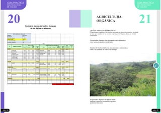 Costos de manejo del cultivo de cacao
de los 4 años en adelante
S/. 30.00
1,500.00
28.00
AÑO 4
Unidad Cantidad
Costo
Unit.
Costo
Total
Tipos Unidad Cantidad
Costo
Unitario
Costo
Total
1,410.00 1,230.00 2,640.00
1 Primera poda Jornal 15.0 30.00 450.00 tijera de podar Unidad 1.00 330.00 330.00
Segunda Poda Jornal 7.0 30.00 210.00 Fertilizantes al suelo Unidad 1.00 600.00 600.00
Tercera poda Jornal 10.0 30.00 300.00 Fertilizantes foliar Unidad 1.00 200.00 200.00
Fertilizacion Al suelo Jornal 4.0 30.00 120.00 Plaguicidas Unidad 1.00 100.00 100.00
Fertilizacion Foliar Jornal 2.0 30.00 60.00
Control de plagas Jornal 3.0 30.00 90.00
Control de malezas Jornal 6.0 30.00 180.00
1,607.14 21.00 1,628.14
1 Cosecha Jornal 53.6 30.00 1,607.14 tijera de podar Unidad 0.50 30.00 15.00
Baldes de 18 ñitros Unidad 0.30 20.00 6.00
225.00 30.00 255.00
4 Fermentación Jornal 8 30.00 225.00 Cajones fermetadores unidad 0.10 300.00 30.00
5
300.00 180.36 480.36
6 Mano de obra Jornal 10.00 30.00 300.00 Mantas de polietileno Unidad 0.50 200.00 100.00
Costales de polietileno Unidad 26.79 3.00 80.36
150.00 0.00 150.00
Transporte terrestre kg 1500 0.10 150.00
2,513.50 1.68
1283
PRODUCTIVIDAD
KG. CACAO SECO/TAREA
TRANSPORTE
MANO DE OBRA
COSTO DEL JORNAL S/.
DENSIDAD: PLANTAS/HA.
COSECHA
FERMENTACION
Nº LABORES CULTURALES
DATOS GENERALES: INSTALACIÓN
VARIEDAD: Cacao Criollo
TECNOLOGÍA: Media
INSUMOS, EQUIPOS y HERRAMIENTAS
TOTAL
GENERAL
Costo/ha.
(S/.)
MANEJO
COSTO TOTAL
SECADO
GUIA PRACTICA
PARA PRODUCTORES
DE CACAO
GUIA PRACTICA
PARA PRODUCTORES
DE CACAO
AGRICULTURA
ORGÁNICA
¿QUÉ ES AGRICULTURA ORGÁNICA?
La agricultura Orgánica es un cambio de actitud por parte del productor, en donde
se tiene que cumplir con las normas de producción Orgánica dadas por el ente
certificador.
Un agricultor Orgánico vive en armonía con la naturaleza,
o usa sustancias químicas artificiales.
Mantiene la biodiversidad en su chacra y mira a la naturaleza
como a su ayudante, no como a un enemigo
El agricultor Orgánico no daña al medio
ambiente y para los consumidores produce
productos más sanos.
21
pág. 49pág. 48
20
 