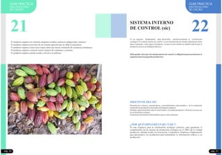 GUIA PRACTICA
PARA PRODUCTORES
DE CACAO
GUIA PRACTICA
PARA PRODUCTORES
DE CACAO
22SISTEMA INTERNO
DE CONTROL (sic)
Es un requisito fundamental para desarrollar satisfactoriamente la certificación
ecológica. El sistema interno de control, es una herramienta de mucha importancia tanto
para el operador, como para el productor, ya que en este sistema se detalla todo lo que el
productortieneensu unidadproductiva.
Debe quedar claro que este sistema interno de control, es obligatorio para asociaciones u
organizaciones depequeños productores
Presentar los criterios, características y procedimientos relacionados a de la evaluación
internadelos productoresasociadosalprogramaorgánico.
Detallar específicamente todo lo relacionado a la unidad productiva. Permite el acceso de
lacertificaciónecológica.
Garantizarlapertenenciadelproductoqueseestáevaluando.
¿POR QUÉ IMPLEMENTARUN SIC?:
Es una exigencia para la certificación ecológica colectiva, para garantizar el
cumplimiento de las normas de producción ecológica en el 100% de la Unidad
productiva, además ayuda a la Asociación, Cooperativa, Empresa u Organización
que representan a los productores para sistematizar la información relativa a su
producción.
OBJETIVOS DEL SIC.
pág. 51
El producto orgánico no contiene ningunos residuos químicos (plaguicidas, nitratos).
El producto orgánico proviene de un sistema agrícola que no daña la naturaleza
El producto orgánico suele tener mejor sabor por mayor contenido de sustancias aromáticas.
El producto orgánico contiene mayor número de vitaminas y enzimas.
El producto orgánico puede ayudar a aliviar a la pobreza.
pág. 50
21
 
