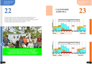 23
GUIA PRACTICA
PARA PRODUCTORES
DE CACAO
CALENDARIO
AGRICOLA
GUIA PRACTICA
PARA PRODUCTORES
DE CACAO
pág. 53
El producto orgánico no contiene ningunos residuos químicos (plaguicidas, nitratos).
El producto orgánico proviene de un sistema agrícola que no daña la naturaleza
El producto orgánico suele tener mejor sabor por mayor contenido de sustancias aromáticas.
El producto orgánico contiene mayor número de vitaminas y enzimas.
El producto orgánico puede ayudar a aliviar a la pobreza.
EL SIC HARA CUMPLIR EN SU TOTALIDAD QUE TODOS
LOS SOCIOS INVOLUCRADOS EN EL PROGRAMA
DE CERTIFICACIÓN ORGANICO CUMPLAN EL COMPROMISO
FIRMADO EN EL REGLAMENTO INTERNO DE CONTROL.
pág. 52
DESHIERBO
PREVENCION DE PHYTOPHTORA-MONILIA-ESCOBA
MANEJO DE PARCELAS DE CACAO SEGÚN LAPRECIPITACIÓN EN BAGUA- UTCUBAMBA(1200
msnm)
2DA. PODA
2DO. ABONADO
3RA. PODA
3ER. ABONADO
DESHIERBO DESHIERBO
PREVENCION DE ESCOBA DE BRUJA
1ERA. PODA
1ER. ABONADO
Enero Febrero Marzo Abril Mayo Junio Julio Agosto Setiemb er Octubre Noviembre Diciembre
COSECHA
PRECIPITACION
FRUCTIFICACIÓN MADURACIÓN BOTÓN FLORAL Y FLORACIÓN
DESHIERBO
PREVENCION DE PHYTOPHTORA-MONILIA-ESCOBA
MANEJO DE PARCELAS DE CACAO SEGÚN LAPRECIPITACIÓN EN BAGUA- UTCUBAMBA(700
msnm)
2DA. PODA
2DO. ABONADO
3RA. PODA
3ER. ABONADO
DESHIERBO DESHIERBO
PREVENCION DE ESCOBA DE BRUJA
1ERA. PODA
1ER. ABONADO
Enero Febrero Marzo Abril Mayo Junio Julio Agosto Setiemb er Octubre Noviembre Diciembre
COSECHA
PRECIPITACION
FRUCTIFICACIÓN MADURACIÓN BOTÓN FLORAL Y FLORACIÓN
22
 