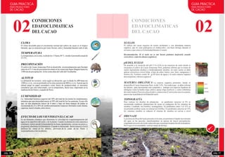 02
CONDICIONES
EDAFOCLIMATICAS
DEL CACAO
CLIMA
El clima favorable para el crecimiento normal del cultivo de cacao es el trópico
húmedo, que se caracteriza por tener lluvias, calor y humedad durante todo el año
TEMPERATURA
Latemperatura,en lazona,va desde los 17 hasta38° C; siendo elpromedioanualde
27.5°C,
PRECIPITACIÓN
El cultivo de Cacao Amazonas Perú se desarrolla en precipitaciones que fluctúan
entre los 673.5 mm de precipitación anual en las zonas más bajas (Bagua) hasta los
1500mmdeprecipitación enlaszonasaltasdelvalledelUtcubamba.
ALTITUD
La altitud de los terrenos, varía según su ubicación, que va desde los 400 hasta los
1200 m.s.n.m., con un promedio en la zona cacaotera de 800 m.s.n.m.Apesar que la
altitud juega un papel secundario como factor de productividad, es necesario
considerar que está relacionado, con la temperatura, factor muy importante en la
maduracióndefrutosy cuajadodeflores.
LUMINOSIDAD
La intensidad lumínica superior del 50% del total de luz limita los rendimientos,
mientras que una intensidad mayor al 50% del total de luz los aumenta. Es por ello
que, en una plantación mayor de 6 años y bajo un buen manejo de podas se
recomienda de 25 a 30% de sombra permanente (especies forestales como shaina,
capirona,laurelohuaba,entreotros).
EFECTO DE LOS VIENTOS EN ELCACAO
Es un elemento climático que determina la velocidad de evapotranspiración del
agua en la superficie del suelo y de la planta. Cuando la plantación está expuesta a
continuos vientos pierde la humedad de las hojas rápidamente, cierran sus poros y,
en general, disminuye la fotosíntesis. Cuando es demasiado fuerte (mayor a 4 m/s)
destruye las ramas de los árboles, provocan de la caída de las flores y
ocasionalmenteeldelosárboles.
02
CONDICIONES
EDAFOCLIMATICAS
DEL CACAO
SUELOS
El cultivo del cacao requiere de suelos profundos y con abundante materia
orgánica, que no sean pedregosos ni endurecidos, con buen drenaje durante el
inviernoy queconservelahumedadduranteelverano.
Recomendación: Si el suelo no es tan bueno podemos mejorarlo usando
correctivos:comolosabonos orgánicos.
pHDELSUELO
De acuerdo a la variación del pH (7.4 a 8.0) en las muestras de suelo donde se
encuentra el cultivo de Cacao Amazonas Perú, podemos afirmar que se tratan de
suelos ligeramente alcalino a moderadamente alcalino, en estos suelos se debe
aplicar correctivos a nivel foliar, a base de cobre, hierro, zinc, boro, manganeso y
fosforo (Ej: Fertilom combi 50 gr/20 litros de agua) y al suelo materia orgánica
descompuestay abonosorgánicos
MATERIA ORGÁNICA La materia orgánica promedio, donde se
desarrolla el Cacao Amazonas Perú, es del 3.8%. Nos indica que se debe reforzar
las labores para incrementar este contenido y trabajar con especies fijadoras de
nitrógeno como la huaba (Inga edulis), pacae (Inga feuilleei), y como coberturas
del suelo kudzu (Pueraria phaseloides), centrocema (Centrocema macrocarpum),
paraevitarlapérdidadefertilidaddelsuelo
TOPOGRAFÍA
Para realizar los diseños de plantación, en pendientes menores al 5% se
recomienda establecer plantaciones de cacao en cualquiera de los sistemas de
siembra: Cuadrado, tres bolillos, rectangulares. En pendientes entre 5 al 15% se
recomienda sembrar cacao en sistema tres bolillos. En pendientes mayores al 15%
los sistemas siembra se reducen al sistema de siembra en curvas a nivel
DRENAJE
La textura arcillosa del suelo presente en la zona, no permiten el rápido movimiento
del agua en las parcelas, manifestándose en épocas de mayor precipitación,
originando procesos de óxido reducción que ocasionan la aparición de moteaduras.
Por loqueesrecomendable,realizarzanjasdedrenaje
GUIA PRACTICA
PARA PRODUCTORES
DE CACAO
GUIA PRACTICA
PARA PRODUCTORES
DE CACAO
pág. 06 pág. 07
 