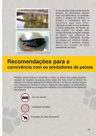 Recomendações para a
convivência com os predadores de peixes
Estudos sobre lontras e ariranhas e sobre os danos que essas espécies
causam às criações de peixes ainda estão em fase inicial no Brasil. No
entanto, um estudo realizado em Minas Gerais e no Rio de Janeiro sugere
que o ataque por lontras é comum. Segundo esse estudo, os proprietários
na região consideram as seguintes medidas como satisfatórias na detenção
dos ataques:
Uso de cercas
Instalação de telas
Emprego de cães de guarda
13
O uso de telas para a cobertura de
tanques de piscicultura oferece
uma boa alternativa na proteção
contra o ataque por lontras, no
entanto é necessário que a
cobertura seja bem feita,
utilizando-se tela de boa qualidade
e malha adequada. As figuras ao
lado ilustram um tanque para
criação de trutas na região sudeste
do Brasil, cuja cobertura foi
parcialmente danificada durante
um ataque por lontra à criação.
Nesse caso, o predador causou
danos às caudas de dois
exemplares de trutas.
GUIA-ICMBIO-DIAGRAMADO-15X21-final
segunda-feira, 16 de maio de 2011 14:41:13
 