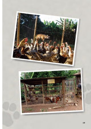 19
GUIA-ICMBIO-DIAGRAMADO-15X21-final
segunda-feira, 16 de maio de 2011 14:41:19
 