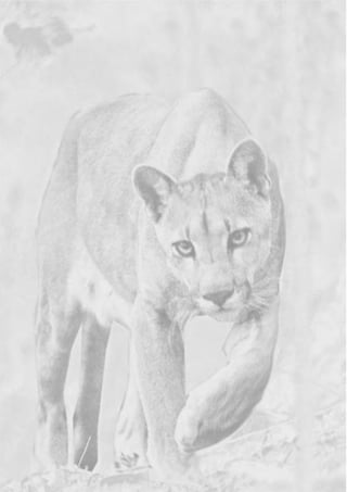 GUIA-ICMBIO-DIAGRAMADO-15X21-final
segunda-feira, 16 de maio de 2011 14:41:05
 