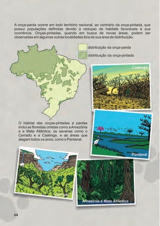 24
O habitat das onças-pintadas e pardas
inclui as florestas úmidas como aAmazônia
e a Mata Atlântica, as savanas como o
Cerrado e a Caatinga, e as áreas que
alagam todos os anos, como o Pantanal.
A onça-parda ocorre em todo território nacional, ao contrário da onça-pintada, que
possui populações definidas devido à reduçao de habitats favoráveis à sua
ocorrência. Onças-pintadas, quando em busca de novas áreas, podem ser
observadas em algumas outras localidades fora de sua área de distribuição.
distribuição da onça-parda
distribuição da onça-pintada
GUIA-ICMBIO-DIAGRAMADO-15X21-final
segunda-feira, 16 de maio de 2011 14:41:24
 