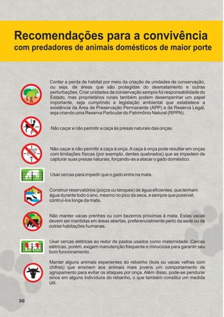 Conter a perda de habitat por meio da criação de unidades de conservação,
ou seja, de áreas que são protegidas do desmatamento e outras
perturbações. Criar unidades de conservação sempre foi responsabilidade do
Estado, mas proprietários rurais também podem desempenhar um papel
importante, seja cumprindo a legislação ambiental que estabelece a
existência da Área de Preservação Permanente (APP) e da Reserva Legal,
seja criando uma Reserva Particular do Patrimônio Natural (RPPN).
Não caçar e não permitir a caça às presas naturais das onças.
Não caçar e não permitir a caça à onça.Acaça à onça pode resultar em onças
com limitações físicas (por exemplo, dentes quebrados) que as impedem de
capturar suas presas naturais, forçando-as a atacar o gado doméstico.
Usar cercas para impedir que o gado entre na mata.
Construir reservatórios (poços ou tanques) de água eficientes, que tenham
água durante todo o ano, mesmo no pico da seca, e sempre que possível,
contruí-los longe da mata.
Não manter vacas prenhes ou com bezerros próximas à mata. Estas vacas
devem ser mantidas em áreas abertas, preferencialmente perto da sede ou de
outras habitações humanas.
Usar cercas elétricas ao redor de pastos usados como maternidade. Cercas
elétricas, porém, exigem manutenção frequente e minuciosa para garantir seu
bom funcionamento.
Manter alguns animais experientes do rebanho (bois ou vacas velhas com
chifres) que ensinem aos animais mais jovens um comportamento de
agrupamento para evitar os ataques por onça. Além disso, pode-se pendurar
sinos em alguns indivíduos do rebanho, o que também constitui um medida
útil.
Recomendações para a convivência
com predadores de animais domésticos de maior porte
GUIA-ICMBIO-DIAGRAMADO-15X21-final
segunda-feira, 16 de maio de 2011 14:41:29
 