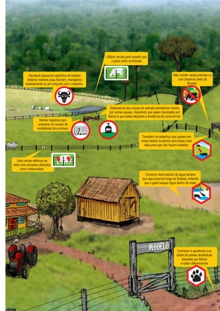 Conhecer a aparência e os
sinais de presas domésticas
atacadas por felinos
e saber diferenciá-las
Construir reservatórios de água sempre
que seja possível longe da floresta, evitando
que o gado busque água dentro da mata.
Transferir os rebanhos que pastam em
áreas baixas inudáveis para áreas mais
altas para que não fiquem isolados.
Usar cercas elétricas ao
redor dos cercados utilizados
como maternidade.
Manter registros para
comparar as causas de
mortalidade dos animais.
Desfazer-se dos corpos de animais domésticos mortos
por outras causas, impedindo que sejam devorados por
felinos e que estes adquiram a tendência de consumí-los.
Introduzir pequenos rebanhos de búfalos
leiteiros mansos (raça Murrah), manejados
isoladamente ou em conjunto com o rebanho.
Utilizar cercas para impedir que
o gado entre na floresta
Não manter vacas prenhas ou
com bezerros perto da
floresta.
GUIA-ICMBIO-DIAGRAMADO-15X21-final
segunda-feira, 16 de maio de 2011 14:41:32
 