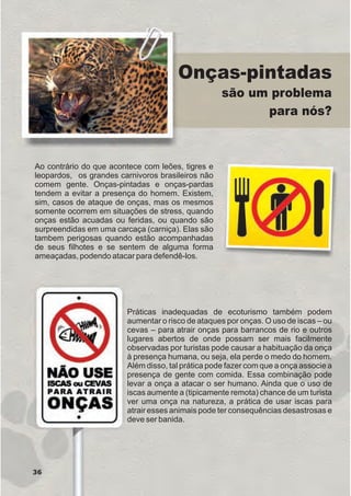 Onças-pintadas
são um problema
para nós?
Ao contrário do que acontece com leões, tigres e
leopardos, os grandes carnivoros brasileiros não
comem gente. Onças-pintadas e onças-pardas
tendem a evitar a presença do homem. Existem,
sim, casos de ataque de onças, mas os mesmos
somente ocorrem em situações de stress, quando
onças estão acuadas ou feridas, ou quando são
surpreendidas em uma carcaça (carniça). Elas são
tambem perigosas quando estão acompanhadas
de seus filhotes e se sentem de alguma forma
ameaçadas, podendo atacar para defendê-los.
Práticas inadequadas de ecoturismo também podem
aumentar o risco de ataques por onças. O uso de iscas – ou
cevas – para atrair onças para barrancos de rio e outros
lugares abertos de onde possam ser mais facilmente
observadas por turistas pode causar a habituação da onça
à presença humana, ou seja, ela perde o medo do homem.
Além disso, tal prática pode fazer com que a onça associe a
presença de gente com comida. Essa combinação pode
levar a onça a atacar o ser humano. Ainda que o uso de
iscas aumente a (tipicamente remota) chance de um turista
ver uma onça na natureza, a prática de usar iscas para
atrair esses animais pode ter consequências desastrosas e
deve ser banida.
36
GUIA-ICMBIO-DIAGRAMADO-15X21-final
segunda-feira, 16 de maio de 2011 14:41:35
 