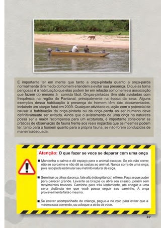 37
Mantenha a calma e dê espaço para o animal escapar. Se ela não correr,
não se aproxime e não dê as costas ao animal. Nunca corra de uma onça,
pois isso pode estimular seu instinto natural de ca a.ç
Sem tirar os olhos da onça, fale alto (não gritando) e firme.
Caminhe para trás lentamente, até chegar a uma
certa distância em que você possa seguir seu caminho. A onça
provavelmente fará o mesmo.
Faça o que puder
para parecer grande. Levante os braços ou abra seu casaco, porém sem
movimentos bruscos.
Se estiver acompanhado de criança, pegue-a no colo para evitar que a
mesma saia correndo, ou coloque-a atrás de voce.
Atenção: O que fazer se voce se deparar com uma onça
E importante ter em mente que tanto a onça-pintada quanto a onça-parda
normalmente têm medo do homem e tendem a evitar sua presença. O que as torna
perigosas é a habituação que elas podem ter em relação ao homem e a associação
que fazem do mesmo à comida fácil. Onças-pintadas têm sido avistadas com
frequência na região do Pantanal, principalmente na época da seca. Alguns
exemplos dessa habituação à presença do homem têm sido documentados,
incluindo um ataque fatal em 2009. Qualquer atividade ou ação com o potencial de
causar a habituação da onça-pintada ou da onça-parda ao ser humano deve
definitivamente ser evitada. Ainda que o avistamento de uma onça na natureza
possa ser a maior recompensa para um ecoturista, é importante considerar as
práticas de observação de fauna frente aos reais impactos que as mesmas podem
ter, tanto para o homem quanto para a própria fauna, se não forem conduzidas de
maneira adequada.
GUIA-ICMBIO-DIAGRAMADO-15X21-final
segunda-feira, 16 de maio de 2011 14:41:36
 