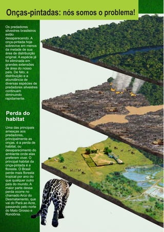 Uma das principais
ameaças aos
predadores,
principalmente as
onças, é a perda de
habitat, ou
desaparecimento do
ambiente onde elas
preferem viver. O
principal habitat da
onça-pintada é a
floresta. O Brasil
perde mais floresta
tropical por ano do
que qualquer outro
país do mundo. A
maior parte dessa
perda ocorre no
chamado Arco do
Desmatamento, que
vai do Pará ao Acre,
passando pelo norte
do Mato Grosso e
Rondônia.
Perda do
habitat
Os predadores
silvestres brasileiros
estão
desaparecendo. A
onça-pintada hoje
sobrevive em menos
da metade de sua
área de distribuição
original. A espécie já
foi eliminada em
grandes extensões
de área do nosso
país. De fato, a
distribuição e a
abundância de
diversas espécies de
predadores silvestres
continuam
diminuindo
rapidamente.
Onças-pintadas: nós somos o problema!
GUIA-ICMBIO-DIAGRAMADO-15X21-final
segunda-feira, 16 de maio de 2011 14:41:38
 