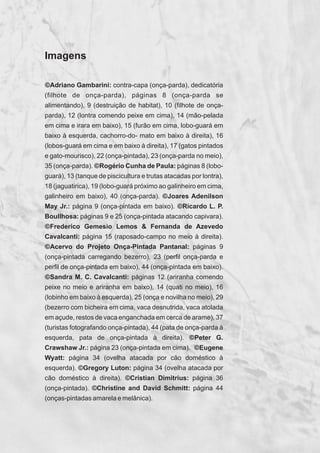 Imagens
©Adriano Gambarini: contra-capa (onça-parda), dedicatória
(filhote de onça-parda), páginas 8 (onça-parda se
alimentando), 9 (destruição de habitat), 10 (filhote de onça-
parda), 12 (lontra comendo peixe em cima), 14 (mão-pelada
em cima e irara em baixo), 15 (furão em cima, lobo-guará em
baixo à esquerda, cachorro-do- mato em baixo à direita), 16
(lobos-guará em cima e em baixo à direita), 17 (gatos pintados
e gato-mourisco), 22 (onça-pintada), 23 (onça-parda no meio),
35 (onça-parda). ©Rogério Cunha de Paula: páginas 8 (lobo-
guará), 13 (tanque de piscicultura e trutas atacadas por lontra),
18 (jaguatirica), 19 (lobo-guará próximo ao galinheiro em cima,
galinheiro em baixo), 40 (onça-parda). ©Joares Adenilson
May Jr.: página 9 (onça-pintada em baixo). ©Ricardo L. P.
Boullhosa: páginas 9 e 25 (onça-pintada atacando capivara).
©Frederico Gemesio Lemos & Fernanda de Azevedo
Cavalcanti: página 15 (raposado-campo no meio à direita).
©Acervo do Projeto Onça-Pintada Pantanal: páginas 9
(onça-pintada carregando bezerro), 23 (perfil onça-parda e
perfil de onça-pintada em baixo), 44 (onça-pintada em baixo).
©Sandra M. C. Cavalcanti: páginas 12 (ariranha comendo
peixe no meio e ariranha em baixo), 14 (quati no meio), 16
(lobinho em baixo à esquerda), 25 (onça e novilha no meio), 29
(bezerro com bicheira em cima, vaca desnutrida, vaca atolada
em açude, restos de vaca enganchada em cerca de arame), 37
(turistas fotografando onça-pintada), 44 (pata de onça-parda à
esquerda, pata de onça-pintada à direita). ©Peter G.
Crawshaw Jr.: página 23 (onça-pintada em cima). ©Eugene
Wyatt: página 34 (ovelha atacada por cão doméstico à
esquerda). ©Gregory Luton: página 34 (ovelha atacada por
cão doméstico à direita). ©Cristian Dimitrius: página 36
(onça-pintada). ©Christine and David Schmitt: página 44
(onças-pintadas amarela e melânica).
GUIA-ICMBIO-DIAGRAMADO-15X21-final
segunda-feira, 16 de maio de 2011 14:41:45
 
