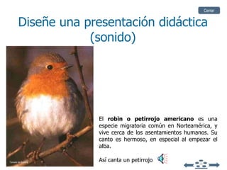 El  robin o petirrojo americano  es una especie migratoria común en Norteamérica, y vive cerca de los asentamientos humanos.  Su canto es hermoso, en especial al empezar el alba. Diseñe una presentación didáctica (sonido) Así canta un petirrojo Cerrar Tomado de Encarta 