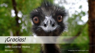 ¡Gracias!
Imágenes de freeimages.com
Gema Gutiérrez Medina
@gmdsgn
 