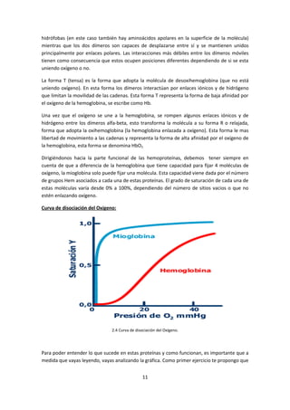 hidrófobas (en este caso también hay aminoácidos apolares en la superficie de la molécula)
mientras que los dos dímeros son capaces de desplazarse entre sí y se mantienen unidos
principalmente por enlaces polares. Las interacciones más débiles entre los dímeros móviles
tienen como consecuencia que estos ocupen posiciones diferentes dependiendo de si se esta
uniendo oxígeno o no.

La forma T (tensa) es la forma que adopta la molécula de desoxihemoglobina (que no está
uniendo oxígeno). En esta forma los dímeros interactúan por enlaces iónicos y de hidrógeno
que limitan la movilidad de las cadenas. Esta forma T representa la forma de baja afinidad por
el oxígeno de la hemoglobina, se escribe como Hb.

Una vez que el oxígeno se une a la hemoglobina, se rompen algunos enlaces iónicos y de
hidrógeno entre los dímeros alfa-beta, esto transforma la molécula a su forma R o relajada,
forma que adopta la oxihemoglobina (la hemoglobina enlazada a oxígeno). Esta forma le mas
libertad de movimiento a las cadenas y representa la forma de alta afinidad por el oxígeno de
la hemoglobina, esta forma se denomina HbO2.

Dirigiéndonos hacia la parte funcional de las hemoproteínas, debemos tener siempre en
cuenta de que a diferencia de la hemoglobina que tiene capacidad para fijar 4 moléculas de
oxígeno, la mioglobina solo puede fijar una molécula. Esta capacidad viene dada por el número
de grupos Hem asociados a cada una de estas proteínas. El grado de saturación de cada una de
estas moléculas varía desde 0% a 100%, dependiendo del número de sitios vacios o que no
estén enlazando oxígeno.

Curva de disociación del Oxígeno:




                               2.4 Curva de disociación del Oxígeno.




Para poder entender lo que sucede en estas proteínas y como funcionan, es importante que a
medida que vayas leyendo, vayas analizando la gráfica. Como primer ejercicio te propongo que


                                                11
 