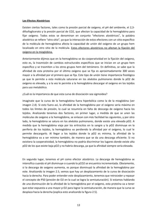 Los Efectos Alostéricos

Existen ciertos factores, tales como la presión parcial de oxígeno, el pH del ambiente, el 2,3-
difosfoglicerato y la presión parcial de CO2, que afectan la capacidad de la hemoglobina para
fijar oxígeno. Todos estos se denominan en conjunto “efectores alostéricos”, la palabra
alostérico se refiere “otro sitio”, ya que la interacción de estos efectores con un sitio específico
de la molécula de hemoglobina afecta la capacidad de unión del oxígeno de un grupo hem
localizado en otro sitio de la molécula. Estos efectores alostéricos no afectan la fijación del
oxígeno en la mioglobina.

Anteriormente dijimos que en la hemoglobina se da cooperatividad en la fijación del oxígeno,
esto es, la trasmisión de cambios estructurales específicos que se inician en un grupo hem
específico y se trasmiten a los otros grupos hem del tetrámero. En definitiva, se sabe que la
afinidad de esta proteína por el último oxígeno que se fija es aproximadamente 300 veces
mayor a la afinidad por el primero que se fija. Este tipo de unión tiene importancia fisiológica
ya que le permite a esta molécula saturarse en los alvéolos pulmonares donde la pO2 de
oxígeno es elevada, y a la vez le permite a la hemoglobina descargar el oxígeno en los tejidos
para uso metabólico.

¿Cuál es la importancia de que esta curva de disociación sea sigmoidea?

Imagínate que la curva de la hemoglobina fuera hiperbólica como la de la mioglobina (ver
imagen 2.4). Si esto fuera así, la afinidad de la hemoglobina por el oxígeno sería máxima en
todos los límites de presión, lo cual se resumiría en falta de descarga de oxígeno hacia los
tejidos. Analizando tenemos dos factores, en primer lugar, a medida de que se unen las
moléculas de oxígeno a la hemoglobina, se enlazan con más facilidad las siguientes, y por otro
lado, la hemoglobina se satura en los alvéolos pulmonares, donde existe una elevada pO2. A
medida que la hemoglobina viaja por los eritrocitos en la sangre y la pO2 disminuye en la
periferia de los tejidos, la hemoglobina va perdiendo la afinidad por el oxígeno, lo cual le
permite descargarlo. Al llegar a los tejidos donde la pO2 es mínima, la afinidad de la
hemoglobina va a ser mínima también, de manera que se da una descarga eficiente. Si no
existiera la cooperatividad, la hemoglobina no podría discriminar los lugares donde existe alta
pO2 de los que existe baja pO2 y no habría descarga, ya que la afinidad siempre sería elevada.



En segundo lugar, tenemos el pH como efector alostérico. La descarga de hemoglobina se
intensifica cuando el pH disminuye o cuando la pCO2 se encuentra incrementada. Obviamente,
si la descarga de oxígeno aumenta, es porque disminuyó la afinidad de la hemoglobina por
este. Analizando la imagen 2.5, vemos que hay un desplazamiento de la curva de disociación
hacia la derecha. Para poder entender este desplazamiento, tenemos que retroceder y repasar
el concepto de P50 (presión de O2 en la cual se logra la semisaturación). Si estamos hablando
de una disminución de la afinidad de la hemoglobina por el oxígeno, esta proteína va a tener
que estar expuesta a una mayor p O2 para lograr la semisaturación, de manera que la curva se
desplaza hacia la derecha (explica esto analizando la figura 2.5).



                                                13
 