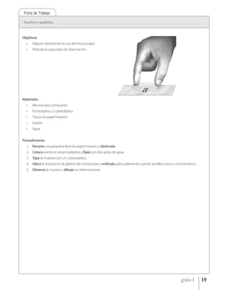 Ficha de Trabajo

 Nombre y apellidos:   _____________________________________________________________________________________________________________________________________________




Objetivos:
  •   Adquirir destreza en el uso del microscopio.
  •   Afianzar la capacidad de observación.




Materiales:
  •   Microscopio compuesto
  •   Portaobjetos y cubreobjetos
  •   Trozos de papel impreso
  •   Gotero
  •   Agua


Procedimiento
  1. Recorta una pequeña letra de papel impreso y obsérvala.
  2. Coloca la letra en el portaobjetos y fíjala con dos gotas de agua.
  3. Tapa la muestra con un cubreobjetos.
  4. Ubica la muestra en la platina del microscopio y enfócala adecuadamente usando tornillos macro y micrométrico.
  5. Observa la muestra y dibuja tus observaciones.




                                                                                                                                                guía 1             19
 
