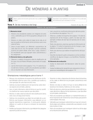 Unidad 4
                                  DE            MÓNERAS A PLANTAS
                        Contenido transversal                                                                      Valor

         Valorar y apreciar las funciones que los seres vivos cumplen en la na-           Desarrollar la responsabilidad en los estudiantes en el uso adecuado
         turaleza.                                                                        de los elementos que la naturaleza nos brinda.


Tema 1: De las moneras a los fungi                                                                                             Duración: 3h / pp. 108 – 119
                                                          Sesión de aprendizaje I

  I. Momento inicial                                                              • Leer y resumir en una ficha la información del reino protis-
  • Mostrar a los estudiantes tarjetas con imágenes de seres                        ta contenida en las páginas 116 y 117.
    vivos y solicitarles que en forma grupal las coloquen en la                   • Observar y analizar el esquema de la página 118 sobre la
    pizarra.                                                                        reproducción de los hongos, y pedir a la clase que cite
  • Mostrar un video corto sobre el origen de la vida, en el                        ejemplos similares de este tipo de reproducción en otros
    que se pueda ver la formación de los primeros seres vivos                       seres vivos.
    sobre la Tierra.                                                              • Pedir a los alumnos y alumnas que lean la información de
  • Llevar al aula tarjetas con diferentes características de                       la página 119 sobre la importancia de los hongos, y que
    cada clase de ser vivo. Por ejemplo: nutrición autótrofa,                       elaboren un esquema sobre este tema.
    ausencia de pared celular, entre otras. Luego, orientar a                     • Pedir a los alumnos que realicen el experimento de la pá-
    los estudiantes para que agrupen estas características y                        gina 119.
    las categoricen.                                                              • Describir a la clase el cuadro comparativo con los nombres
  II. Momento básico y de aplicación                                                científicos de algunos hongos y sus beneficios. Presentar
  • Observar y analizar el esquema sobre la clasificación de                        otros ejemplos.
    los seres vivos de Robert Whitaker, presentado en la pági-                    III. Momento de evaluación
    na 112.                                                                       • Evaluar la observación del laboratorio sobre los proto-
  • Leer la información de las páginas 114 y 115 sobre los se-                      zoarios.
    res del reino mónera, y pedir a los estudiantes que elabo-                    • Evaluar la elaboración grupal de pan propuesta en las su-
    ren un resumen con esta información.                                            gerencias metodológicas de la página 119.


Orientaciones metodológicas para el tema 1
• Mostrar a los estudiantes el esquema de clasificación de Ro-                    • Presentar un video o diapositivas de diversas clases de bacterias,
  bert Whitaker sobre los seres vivos, y pedirles que analicen y                    en los cuales se diferencien las principales características entre
  citen ejemplos de cada clase de seres vivos.                                      cada clase.
• Solicitar a la clase la elaboración de taxonomías sobre diver-                  • Mostrar a la clase un video en el que se vea la utilidad de las
  sas especies de animales y plantas.                                               bacterias en la industria, medicina o en otro campo.
• Leer un texto informativo sobre la forma en que los científi-                   • Pedir a los alumnos y alumnas que observen a través del micros-
  cos clasifican las nuevas especies que descubren.                                 copio electrónico algunas formas bacterianas, y que describan
• Mostrar un video sobre la evolución de la clasificación de los                    sus principales características.
  seres vivos a lo largo de la historia.                                          • Pedir a los estudiantes que elaboren un material informativo so-
• Solicitar a los estudiantes que elijan tres animales de su pre-                   bre la importancia de mantener las manos limpias para prevenir
  ferencia, que busquen información y que elaboren sus ca-                          enfermedades infecciosas.
  tegorías taxonómicas respectivas. A continuación deberán                        • Solicitarles que investiguen sobre la forma en que son consumi-
  elaborar un cuadro en el que se comparen las taxonomías                           das las algas azul-verdosas, y proponerles que preparen una de
  halladas.                                                                         estas recetas en clase.
• Pedirles que busquen información y que elaboren las categorías                  • Pedir a los estudiantes que investiguen sobre el uso de las algas
  taxonómicas del ser humano.                                                       en la industria de los alimentos.


                                                                                                                                      guía 1            37
 