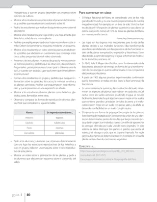 hidropónicos, y que en grupos desarrollen un proyecto sobre          Para comentar en clase
   este tipo de cultivos.
                                                                        • El Parque Nacional del Manu es considerado uno de los más
• Mostrar a los estudiantes un video sobre el proceso de fotosínte-       grandes del mundo, y es una muestra representativa de nuestra
  sis, y pedirles que resuelvan un cuestionario sobre él.                 megadiversidad. Por ejemplo, en un área de solo 5 km2 se han
• Pedir a los estudiantes que realicen la siguiente experiencia en el     recolectado 1147 especies de plantas superiores o vasculares. Se
  laboratorio:                                                            estima que por lo menos el 15 % de todas las plantas del Manu
• Mostrar a los estudiantes una hoja verde y una hoja amarilla (por       son nuevas para la ciencia.
  falta de luz solar) de una misma planta.                                                                      Fuente: http://www.promanu.org..
• Pedirles que expliquen por qué estas hojas no son de un color si-     • Las hojas son los órganos más importantes para la vida de las
  milar. Deben fundamentar su respuesta mediante un esquema.              plantas, debido a sus múltiples funciones. Ellas transforman la
• Mostrar a los estudiantes un video sobre las plantas en el desier-      savia bruta en elaborada; son las ejecutoras de las funciones vi-
  to, y pedirles que elaboren un cuestionario que contenga entre          tales de la planta: transpiración, respiración y fotosíntesis. Es en
  cinco y diez preguntas sobre el video observado.                        ellas donde, a partir del oxígeno y el agua, se forman las molécu-
                                                                          las de los ácidos, azúcares, etc.
• Presentar a los estudiantes muestras de girasol y mimosa sensiti-
  va (Mimosa púdica), y pedirles que las observen y las comparen.       • En 1845, Julie R. Meyer identificó los pasos fundamentales de la
  Preguntarles: ¿estas plantas reaccionan igual o diferente ante la       fotosíntesis: absorción de energía en forma de luz y transforma-
  luz?, ¿y cuando son tocadas?, ¿por qué creen que tienen diferen-        ción de esta energía en química almacenada en los compuestos
  tes estructuras?                                                        elaborados por la planta.
• Formar a los estudiantes en grupos y pedirles que busquen in-         • A partir de 1905 algunas pruebas experimentales confirmaron
  formación sobre los girasoles, los cactus, la mimosa sensitiva y        que la fotosíntesis se realiza en dos fases: la fase luminosa y la
  las plantas carnívoras. Pedirles que esquematicen esta informa-         fase oscura.
  ción, y que la presenten en una exposición en el aula.                • En un ecosistema, la química y la constitución del suelo deter-
• Mostrar a los estudiantes diversas plantas como helechos, gla-          minan las especies de plantas que habitan en cada sitio. Así, el
  diolos, pasto, llamadólar, entre otras.                                 cactus crece en suelos arenosos en donde el agua se escurre
                                                                          fácilmente; la remolacha y el algodón crecen mejor en los suelos
• Observar y comparar las formas de reproducción de estas plan-
                                                                          que contiene grandes cantidades de sales; la avena y el melo-
  tas. Pedir que completen la siguiente tabla:
                                                                          cotón crecen mejor en un suelo con pocas sales; y la alfalfa se
                                                                          desarrolla con facilidad en un suelo con pH neutro.
                Planta                Se reproduce mediante...          • El injerto es una forma de propagación propia de las plantas.
                                                                          Este sistema de multiplicación consiste en la unión de una plan-
               Helecho                         esporas
                                                                          ta con determinadas partes de otra, las que luego crecerán jun-
               Gladiolo                       tubérculos                  tas y darán origen a un individuo nuevo con el fin de aprovechar
                                                                          las ventajas ofrecidas por cada uno de estos vegetales. En este
                Pasto                          rizomas
                                                                          sistema se debe distinguir dos partes: el patrón, que recibe el
              Llamadólar                       plántulas                  injerto, y el vástago o púa, que es la parte injertada. Por regla
                                                                          general, los injertos se deben practicar en el periodo en el que la
                                                                          planta inicia su fase de crecimiento vegetativo.
• Pedir a los alumnos y alumnas que observen detenidamente
  con una lupa las estructuras reproductivas de los helechos y
                                                                        C ONÉCTATE A ...
  que, en grupos, elaboren una maqueta sobre el ciclo reproduc-
  tivo de esta planta.                                                   http://www.peruecologico.com.pe/lib_c19_t02.htm,
• Mostrar un video sobre la polinización de las plantas, y pedir a       (consultado el 31/12/07).
  los alumnos que elaboren un esquema sobre el contenido del             Para mayor información sobre la fitogeografía del Perú.
  video.




 guía 1         40
 