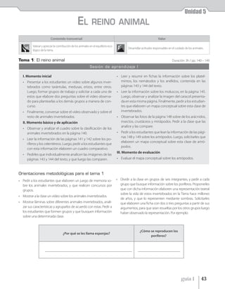 Unidad 5
                                                  EL          REINO ANIMAL
                          Contenido transversal                                                                       Valor

          Valorar y apreciar la contribución de los animales en el equilibrio eco-
                                                                                             Desarrollar actitudes responsables en el cuidado de los animales.
          lógico de la tierra.


Tema 1: El reino animal                                                                                                            Duración: 3h / pp. 140 – 149
                                                             Sesión de aprendizaje I

   I. Momento inicial                                                                • Leer y resumir en fichas la información sobre los platel-
   • Presentar a los estudiantes un video sobre algunos inver-                         mintos, los nemátodos y los anélidos, contenida en las
     tebrados como tarántulas, medusas, erizos, entre otros.                           páginas 143 y 144 del texto.
     Luego, formar grupos de trabajo y solicitar a cada uno de                       • Leer la información sobre los moluscos, en la página 145.
     estos que elabore dos preguntas sobre el video observa-                           Luego, observar y analizar la imagen del caracol presenta-
     do para plantearlas a los demás grupos a manera de con-                           da en esta misma página. Finalmente, pedir a los estudian-
     curso.                                                                            tes que elaboren un mapa conceptual sobre esta clase de
   • Finalmente, conversar sobre el video observado y sobre el                         invertebrados.
     resto de animales invertebrados.                                                • Observar las fotos de la página 148 sobre de los arácnidos,
   II. Momento básico y de aplicación                                                  insectos, crustáceos y miriápodos. Pedir a la clase que las
                                                                                       analice y las compare.
   • Observar y analizar el cuadro sobre la clasificación de los
     animales invertebrados en la página 140.                                        • Pedir a los estudiantes que lean la información de las pági-
                                                                                       nas 148 y 149 sobre los artrópodos. Luego, solicitarles que
   • Leer la información de las páginas 141 y 142 sobre los po-
                                                                                       elaboren un mapa conceptual sobre esta clase de artró-
     ríferos y los celentéreos. Luego, pedir a los estudiantes que
                                                                                       podos.
     con esta información elaboren un cuadro comparativo.
                                                                                     III. Momento de evaluación
   • Pedirles que individualmente analicen las imágenes de las
     páginas 143 y 144 del texto, y que luego las comparen.                          • Evaluar el mapa conceptual sobre los artrópodos.



Orientaciones metodológicas para el tema 1
• Pedir a los estudiantes que elaboren un juego de memoria so-                       • Dividir a la clase en grupos de seis integrantes, y pedir a cada
  bre los animales invertebrados, y que realicen concursos por                         grupo que busque información sobre los poríferos. Proponerles
  grupos.                                                                              que con dicha información elaboren una representación teatral
                                                                                       sobre la vida de estos invertebrados en la Tierra hace millones
• Mostrar a la clase un video sobre los animales invertebrados.
                                                                                       de años, y que lo representen mediante sombras. Solicitarles
• Mostrar láminas sobre diferentes animales invertebrados, anali-                      que elaboren una ficha con dos o tres preguntas a partir de sus
  zar sus características y agruparlos de acuerdo con estas. Pedir a                   argumentos, para que sean resueltas por los otros grupos luego
  los estudiantes que formen grupos y que busquen información                          haber observado la representación. Por ejemplo:
  sobre una determinada clase.


                                                                                                      ¿Cómo se reproducen los
                                     ¿Por qué se les llama esponjas?
                                                                                                            poríferos?




                                                                                                                                          guía 1            43
 