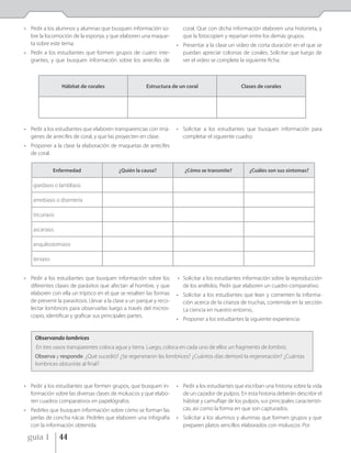 • Pedir a los alumnos y alumnas que busquen información so-             coral. Que con dicha información elaboren una historieta, y
  bre la locomoción de la esponja, y que elaboren una maque-            que la fotocopien y repartan entre los demás grupos.
  ta sobre este tema.                                                 • Presentar a la clase un video de corta duración en el que se
• Pedir a los estudiantes que formen grupos de cuatro inte-             puedan apreciar colonias de corales. Solicitar que luego de
  grantes, y que busquen información sobre los arrecifes de             ver el video se complete la siguiente ficha:



                  Hábitat de corales                    Estructura de un coral                     Clases de corales




• Pedir a los estudiantes que elaboren transparencias con imá-        • Solicitar a los estudiantes que busquen información para
  genes de arrecifes de coral, y que las proyecten en clase.            completar el siguiente cuadro:
• Proponer a la clase la elaboración de maquetas de arrecifes
  de coral.

               Enfermedad                  ¿Quién la causa?              ¿Cómo se transmite?           ¿Cuáles son sus síntomas?

    giardiasis o lambliasis

    amebiasis o disentería

    tricuriasis

    ascariasis

    anquilostomiasis

    teniasis


• Pedir a los estudiantes que busquen información sobre los           • Solicitar a los estudiantes información sobre la reproducción
  diferentes clases de parásitos que afectan al hombre, y que           de los anélidos. Pedir que elaboren un cuadro comparativo.
  elaboren con ella un tríptico en el que se resalten las formas      • Solicitar a los estudiantes que lean y comenten la informa-
  de prevenir la parasitosis. Llevar a la clase a un parque y reco-     ción acerca de la crianza de truchas, contenida en la sección
  lectar lombrices para observarlas luego a través del micros-          La ciencia en nuestro entorno..
  copio, identificar y graficar sus principales partes.
                                                                      • Proponer a los estudiantes la siguiente experiencia:


     Observando lombrices
     En tres vasos transparentes coloca agua y tierra. Luego, coloca en cada uno de ellos un fragmento de lombriz.
     Observa y responde. ¿Qué sucedió? ¿Se regeneraron las lombrices? ¿Cuántos días demoró la regeneración? ¿Cuántas
     lombrices obtuviste al final?


• Pedir a los estudiantes que formen grupos, que busquen in-          • Pedir a los estudiantes que escriban una historia sobre la vida
  formación sobre las diversas clases de moluscos y que elabo-          de un cazador de pulpos. En esta historia deberán describir el
  ren cuadros comparativos en papelógrafos.                             hábitat y camuflaje de los pulpos, sus principales característi-
• Pedirles que busquen información sobre cómo se forman las             cas, así como la forma en que son capturados.
  perlas de concha nácar. Pedirles que elaboren una infografía        • Solicitar a los alumnos y alumnas que formen grupos y que
  con la información obtenida.                                          preparen platos sencillos elaborados con moluscos. Por

 guía 1           44
 