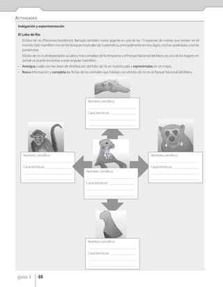 ACTIVIDADES
 Indagación y experimentación

 El Lobo de Río
   El lobo de río (Pteronura brasiliensis), llamado también nutria gigante es una de las 13 especies de nutrias que existen en el
   mundo. Este mamífero vive en los bosques tropicales de Sudamérica, principalmente en ríos, lagos, cochas, quebradas y zonas
   pantanosas.
   El lobo de río es el depredador acuático más complejo de la Amazonia y el Parque Nacional del Manu es uno de los lugares en
   donde se puede encontrar a este singular mamífero.
 • Averigua cuales son las áreas de distribución del lobo de río en nuestro país y represéntalas en un mapa.
 • Busca información y completa las fichas de los animales que habitan con el lobo de río en el Parque Nacional del Manu.




                                                       Nombre científico:
                                                       _______________________________________________

                                                       Características: _________________________
                                                       _______________________________________________

                                                       _______________________________________________




    Nombre científico:                                                                                   Nombre científico:
    _______________________________________________                                                      _______________________________________________

    Características: _________________________                                                           Características: _________________________
    _______________________________________________
                                                      Nombre científico:                                 _______________________________________________
                                                      _______________________________________________
    _______________________________________________                                                      _______________________________________________
                                                      Características: _________________________
                                                      _______________________________________________

                                                      _______________________________________________




                                                       Nombre científico:
                                                       _______________________________________________

                                                       Características: _________________________
                                                       _______________________________________________

                                                       _______________________________________________



 guía 1          48
 