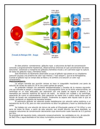 85
En éste práctico someteremos glóbulos rojos a soluciones de NaCl de concentración
conocida y progresivamente hipotónicas. Observaremos entonces en qué concentración de estas
soluciones comienzan a romperse los glóbulos (hemólisis inicial) y en cuál tiene lugar la ruptura
de todos los glóbulos rojos.( Hemólisis total).
Este fenómeno es fácilmente observable ya que el glóbulo rojo posee en su citoplasma
(solución acuosa) una proteína de color rojo intenso ( “rojo sangre”) que es la hemoglobina.
Cuando el glóbulo rojo se rompe ésta se libera y le confiere a la solución un color rojo
característico.
PROCEDIMIENTO:
La sangre extraída por punción venosa se hace in coagulable mezclando una parte de
solución de citrato de sodio al 3.8 % con cuatro partes de sangre.
Es preferible trabajar con hematíes desplasmatizados y lavados de la manera siguiente:
una vez extraída la sangre y mezclada con un anticoagulante como se ha dicho anteriormente, se
centrifuga en un tubo adecuado; por aspiración con una pipeta se separa el plasma y se
reemplaza por solución isotónica de cloruro de sodio; se mezcla con cuidado y se centrifuga,
separando de nuevo el sobrenadante. Esta operación se repite tres o cuatro veces hasta que el
líquido de lavado sea completamente límpido. Finalmente se separa este líquido todo lo que se
pueda, quedando un depósito de hematíes lavados.
El sedimento globular así obtenido puede restablecerse con solución salina isotónica a un
hematocrito de 45 a 50, pero es más conveniente no diluir los glóbulos y hacer su distribución por
gotas.
Se trabaja con una solución de cloruro de sodio al 9‰(puede usarse al 7-8-10‰) y una
serie de tubos de Khan, a partir de esta solución, por simple dilución con agua destilada, se
preparan soluciones de concentración decreciente cuya disminución suele hacerse de 0.5 gramos
por litro.
Se procederá del siguiente modo, colocando consecutivamente las cantidades en mL, de solución
de NaCl 9‰ y agua destilada en los tubos numerados previamente según indica la tabla
 