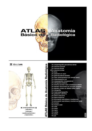 Guia radiologica, anatomia radiologica