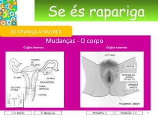 Se és rapariga Mudanças - O corpo  Órgãos internos   Órgãos externos    < A nterior << Início Próximo > Finalizar >> DE CRIANÇA A MULHER 