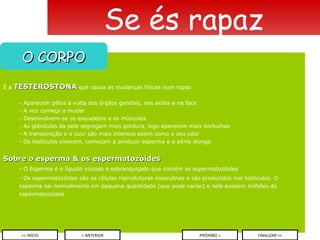É a  TESTEROSTONA   que causa as mudanças físicas num rapaz - Aparecem pêlos à volta dos órgãos genitais, nas axilas e na face - A voz começa a mudar - Desenvolvem-se os esqueletos e os músculos - As glândulas da pele segregam mais gordura, logo aparecem mais borbulhas - A transpiração e o suor são mais intensos assim como o seu odor Os testículos crescem, começam a produzir esperma e o pénis alonga Sobre o esperma & os espermatozóides - O Esperma é o líquido viscoso e esbranquiçado que contém os espermatozóides - Os espermatozóides são as células reprodutoras masculinas e são produzidos nos testículos. O esperma sai normalmente em pequena quantidade (que pode variar) e nele existem milhões de espermatozóides  Se és rapaz O CORPO < ANTERIOR << INÍCIO PRÓXIMO > FINALIZAR >> 