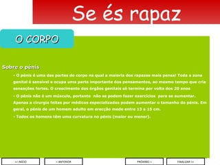 Sobre o pénis - O pénis é uma das partes do corpo na qual a maioria dos rapazes mais pensa! Toda a zona genital é sensível e ocupa uma parte importante dos pensamentos, ao mesmo tempo que cria sensações fortes. O crescimento dos órgãos genitais só termina por volta dos 20 anos - O pénis não é um músculo, portanto  não se podem fazer exercícios  para se aumentar. Apenas a cirurgia feitas por médicos especializados podem aumentar o tamanho do pénis. Em geral, o pénis de um homem adulto em erecção mede entre 13 a 15 cm. - Todos os homens têm uma curvatura no pénis (maior ou menor).   Se és rapaz O CORPO < ANTERIOR << INÍCIO PRÓXIMO > FINALIZAR >> 