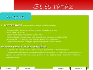 É a  TESTEROSTONA   que causa as mudanças físicas num rapaz - Aparecem pêlos à volta dos órgãos genitais, nas axilas e na face - A voz começa a mudar - Desenvolvem-se os esqueletos e os músculos - As glândulas da pele segregam mais gordura, logo aparecem mais borbulhas - A transpiração e o suor são mais intensos assim como o seu odor Os testículos crescem, começam a produzir esperma e o pénis alonga Sobre o esperma & os espermatozóides - O Esperma é o líquido viscoso e esbranquiçado que contém os espermatozóides - Os espermatozóides são as células reprodutoras masculinas e são produzidos nos testículos. O esperma sai normalmente em pequena quantidade (que pode variar) e nele existem milhões de espermatozóides  Se és rapaz O CORPO < ANTERIOR << INÍCIO PRÓXIMO > FINALIZAR >> 