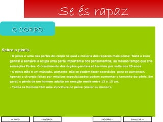 Sobre o pénis - O pénis é uma das partes do corpo na qual a maioria dos rapazes mais pensa! Toda a zona genital é sensível e ocupa uma parte importante dos pensamentos, ao mesmo tempo que cria sensações fortes. O crescimento dos órgãos genitais só termina por volta dos 20 anos - O pénis não é um músculo, portanto  não se podem fazer exercícios  para se aumentar. Apenas a cirurgia feitas por médicos especializados podem aumentar o tamanho do pénis. Em geral, o pénis de um homem adulto em erecção mede entre 13 a 15 cm. - Todos os homens têm uma curvatura no pénis (maior ou menor).   Se és rapaz O CORPO < ANTERIOR << INÍCIO PRÓXIMO > FINALIZAR >> 