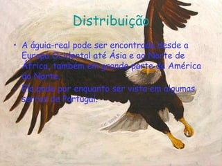 DistribuiçãoA águia-real pode ser encontrada desde a Europa Ocidental até Ásia e ao Norte de África, também em grande parte da América do Norte.Ela pode por enquanto ser vista em algumas serras de Portugal. 