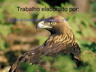 Trabalho elaborado por:Beatriz Gonçalves Martins, nº4