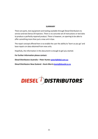 Guia reparo injetores denso | PDF