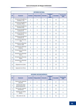 Guía de Evaluación de Riesgos Ambientales
115
ENTORNO NATURAL
Nº Escenario Cantidad Peligrosidad Extensión
Calidad
del
medio
Gravedad
Puntuación
total
1
Emisiones Atmosféricas
Fundición PTS
1 4 4 2 15 4
2
Emisiones Atmosféricas
Fundición PM10
2 4 4 2 16 4
3
Emisiones Atmosféricas
Fundición SO2
2 4 4 3 17 4
4
Emisiones Atmosféricas
Fundición Pb
4 4 4 4 20 5
5
Emisiones Atmosféricas
Fundición As
1 4 4 2 15 4
6
Emisiones Atmosféricas
Fundición Cd
4 4 4 4 20 5
7
Emisiones de efluentes
STS
3 3 3 2 14 3
8
Emisiones de efluentes
Cianuro Total
4 4 4 4 20 5
9
Emisiones de efluentes
Arsénico
4 4 4 3 19 5
10
Emisiones de efluentes
Cobre
4 4 4 4 20 5
11
Emisiones de efluentes
Hierro
4 4 4 4 20 5
12
Emisiones de efluentes
Plomo
4 4 4 4 20 5
13
Emisiones de efluentes
Zinc
4 4 4 4 20 5
14 Deposición de Cobre 4 4 4 3 19 5
15 Deposición de Plomo 4 4 4 3 19 5
ENTORNO SOCIOECONÓMICO
Nº Escenario Cantidad Peligrosidad Extensión
Calidad
del
medio
Gravedad
Puntuación
total
1
Disminución población
pecuaria
3 4 4 2 17 4
2
Disminución áreas
agrosilvopastoriles
3 4 4 3 18 5
3
Disminución ingresos
económicos
2 3 4 2 14 3
4
Ingresos por fuente
laboral
3 3 4 3 16 4
5 Alto costo de vida 3 3 4 3 16 4
 