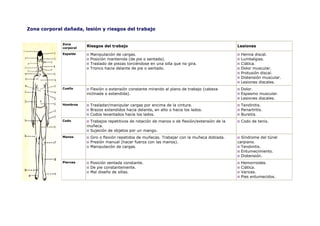 Zona corporal dañada, lesión y riesgos del trabajo


             Zona
             corporal
                        Riesgos del trabajo                                                       Lesiones

             Espalda     Manipulación de cargas.                                                   Hernia discal.
                         Posición mantenida (de pie o sentada).                                    Lumbalgias.
                         Traslado de piezas torciéndose en una silla que no gira.                  Ciática.
                         Tronco hacia delante de pie o sentado.                                    Dolor muscular.
                                                                                                   Protusión discal.
                                                                                                   Distensión muscular.
                                                                                                   Lesiones discales.
             Cuello       Flexión o extensión constante mirando al plano de trabajo (cabeza        Dolor.
                        inclinada o extendida).                                                    Espasmo muscular.
                                                                                                   Lesiones discales.
             Hombros     Trasladar/manipular cargas por encima de la cintura.                      Tendinitis.
                         Brazos extendidos hacia delante, en alto o hacia los lados.               Periartritis.
                         Codos levantados hacia los lados.                                         Bursitis.
             Codo        Trabajos repetitivos de rotación de manos o de flexión/extensión de la    Codo de tenis.
                        muñeca.
                         Sujeción de objetos por un mango.
             Manos       Giro o flexión repetidos de muñecas. Trabajar con la muñeca doblada.       Síndrome del túnel
                         Presión manual (hacer fuerza con las manos).                             carpiano.
                         Manipulación de cargas.                                                    Tendinitis.
                                                                                                    Entumecimiento.
                                                                                                    Distensión.
             Piernas     Posición sentada constante.                                               Hemorroides.
                         De pie constantemente.                                                    Ciática.
                         Mal diseño de sillas.                                                     Varices.
                                                                                                   Pies entumecidos.
 