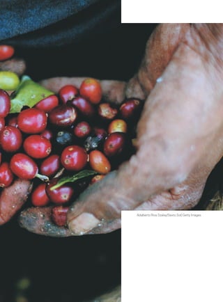 53




Adalberto Rios Szalay/Sexto Sol/ Getty Images
 