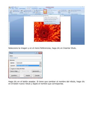Seleccione la imagen y en el menú Referencias, haga clic en Insertar título.
Haga clic en el botón aceptar. Si tiene que cambiar el nombre del rótulo, haga clic
en el botón nuevo rótulo y digite el nombre que corresponda.
 