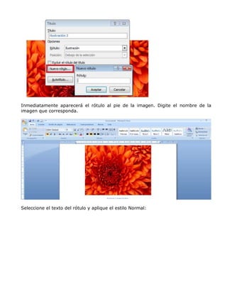 Inmediatamente aparecerá el rótulo al pie de la imagen. Digite el nombre de la
imagen que corresponda.
Seleccione el texto del rótulo y aplique el estilo Normal:
 