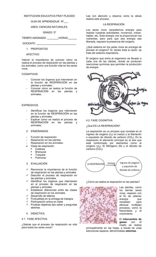 INSTITUCION EDUCATIVA FRAY PLACIDO
GUIA DE APRENDIZAJE Nº___
AREA: CIENCIAS NATURALES.
GRADO: 5º
TIEMPO ASIGNADO: ________HORAS:______
DOCENTE: ____________________________
1. PROPOSITOS
AFECTIVO:
Valorar la importancia de conocer cómo se
realiza el proceso de respiración en las plantas y
los animales, como una función vital en los seres
vivos.
COGNITIVOS
- Conocer los órganos que intervienen en
la función de RESPIRACIÓN en las
plantas y animales.
- Conocer cómo se realiza la función de
RESPIRACIÓN en las plantas y
animales.
EXPRESIVOS
- Identificar los órganos que intervienen
en la función de RESPIRACIÓN en las
plantas y animales.
- Explicar cómo se realiza el proceso de
RESPIRACIÓN en las plantas y
animales.
2. ENSEÑANZAS
- Función de respiración
- Respiración en las plantas
- Respiración en los animales:
Clase de respiración
 Cutánea
 Branquial
 Traqueal
 Pulmonar
3. EVALUACIÓN
 Reconocer la importancia de la función
de respiración en las plantas y animales
 Describir el proceso de respiración en
las plantas y animales
 Identificar los órganos que intervienen
en el proceso de respiración en las
plantas y animales
 Establecer diferencias entre las clases
de respiración en los animales
 Desarrollo de talleres
 Puntualidad en la entrega de trabajos
 Participación activa en clase
 Pruebas objetivas tipo saber y preguntas
abiertas.
4. DIDACTICA
4.1. FASE AFECTIVA
¿Sabías que el proceso de respiración es vital
para todos los seres vivos?
Lee con atención y observa como la célula
realiza este proceso.
LA RESPIRACIÓN
Los seres vivos necesitamos energía para
realizar nuestras actividades: movernos, crecer,
hablar, etc. Esta energía nos la proporcionan los
nutrientes, pero para que esa energía sea
liberada, requiere la presencia del oxígeno.
¿Qué sistema en los seres vivos se encarga de
proveer el oxígeno? Sí, tienes toda la razón, se
trata del sistema respiratorio.
El oxígeno que entra al organismo es llevado a
cada una de las células, donde se producen
reacciones químicas que permiten la producción
de energía.
4.2. FASE COGNITIVA
¿Qué ES LA RESPIRACIÓN?
La respiración es un proceso que consiste en el
ingreso de oxigeno (o2) al cuerpo y la liberación
o expulsión de dióxido de carbono (CO2). En la
respiración el elemento principal es el aire que
está conformado por elementos como el
oxígeno (o2), El Nitrógeno (N) y el dióxido de
carbono (CO2).
¿Cómo se realiza la respiración en las plantas?
Las plantas, como
los demás seres
vivos, respiran con
el fin de obtener
energía que
necesitan para
efectuar múltiples
procesos, como la
fotosíntesis y el
crecimiento.
El intercambio de
gases con el
medio se realiza
principalmente en las hojas, a través de unas
estructuras especia, denominadas estomas.
LA RESPIRACION Ingreso de oxígeno
y expulsión de
dióxido de carbono
Incluye
 