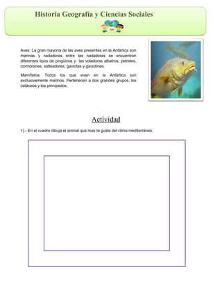 Historia Geografía y Ciencias Sociales
Aves: La gran mayoría de las aves presentes en la Antártica son
marinas y nadadoras entre las nadadoras se encuentran
diferentes tipos de pingüinos y las voladoras albatros, petreles,
cormoranes, salteadores, gaviotas y gaviotines.
Mamíferos: Todos los que viven en la Antártica son
exclusivamente marinos. Pertenecen a dos grandes grupos, los
cetáceos y los pinnípedos.
Actividad
1).- En el cuadro dibuja el animal que mas te guste del clima mediterráneo.
 
