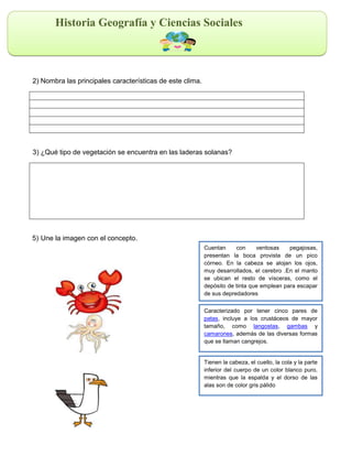 Historia Geografía y Ciencias Sociales
2) Nombra las principales características de este clima.
3) ¿Qué tipo de vegetación se encuentra en las laderas solanas?
5) Une la imagen con el concepto.
Caracterizado por tener cinco pares de
patas, incluye a los crustáceos de mayor
tamaño, como langostas, gambas y
camarones, además de las diversas formas
que se llaman cangrejos.
Cuentan con ventosas pegajosas,
presentan la boca provista de un pico
córneo. En la cabeza se alojan los ojos,
muy desarrollados, el cerebro .En el manto
se ubican el resto de vísceras, como el
depósito de tinta que emplean para escapar
de sus depredadores
Tienen la cabeza, el cuello, la cola y la parte
inferior del cuerpo de un color blanco puro,
mientras que la espalda y el dorso de las
alas son de color gris pálido
 