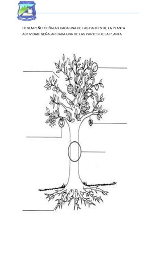DESEMPEÑO: SEÑALAR CADA UNA DE LAS PARTES DE LA PLANTA
ACTIVIDAD: SEÑALAR CADA UNA DE LAS PARTES DE LA PLANTA
 