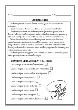 Guias imprimibles para primaria