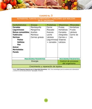 Guía Alimentaria para Honduras 
CUADRO No. 3 
NUTRIENTES, FUENTES ALIMENTARIAS Y FUNCIONES QUE REALIZAN 
EN EL ORGANISMO 
Carbohidrato s Grasa s Proteínas Vitaminas Minerales 
Cereal es 
Leguminos as 
Raíces comestib les 
Tubércul os 
Harina s: 
Pasta s 
Galletas 
Pan 
Azúc ar 
Mermelad as 
Pane la 
Mantequil la 
Margarin a 
Aceit es 
Mante ca 
Carnes gra sas 
Carn e 
Pescad o 
Huevo s 
Leche 
Lácteo s 
Leguminos a 
+ cereal es 
Frutas 
Hortalizas 
Cereales 
integrale s 
Carnes y 
Vísceras 
Lácteos 
Hortalizas 
Frutas 
Lácteos 
Carne de 
res 
MACRONUTRIENTES MICRONUTRIENTES 
Energía 
Control de procesos 
del organismo 
Crecimiento y reparación de tejidos 
Fuente: FAO-Programa Especial para la Seguridad Alimentaria. 2010. Guía metodológica para la enseñanza de la alimentación 
y nutrición en las escuelas primarias. Tegucigalpa, Honduras. 
12 
 