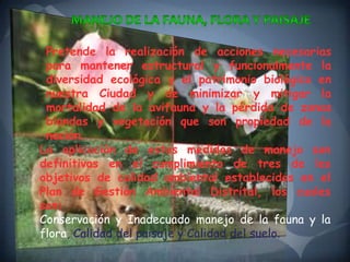 Pretende la realización de acciones necesarias
 para mantener estructural y funcionalmente la
 diversidad ecológica y el patrimonio biológico en
 nuestra Ciudad y de minimizar y mitigar la
 mortalidad de la avifauna y la pérdida de zonas
 blandas y vegetación que son propiedad de la
 nación.
La aplicación de estas medidas de manejo son
definitivas en el cumplimiento de tres de los
objetivos de calidad ambiental establecidos en el
Plan de Gestión Ambiental Distrital, los cuales
son:
Conservación y Inadecuado manejo de la fauna y la
flora, Calidad del paisaje y Calidad del suelo.
 